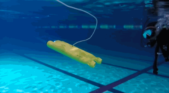 ATA-L系列水声功率放大器驱动水下软体蛇形机器人